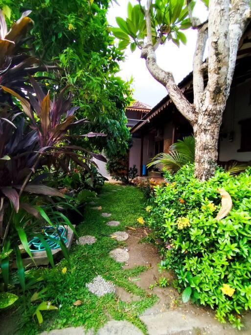 Niki Mawon Homestay Kejayan Ngoại thất bức ảnh